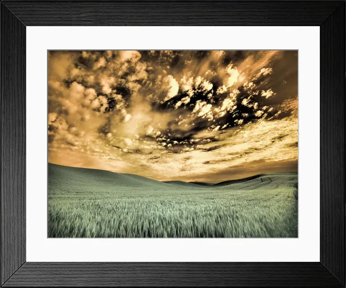 Framed Print : USA, Washington State, Palouse. wheat field and clouds Date: 11-06-2020 Framed Print : USA, Washington State, Palouse. wheat field and clouds Date: 11-06-2020