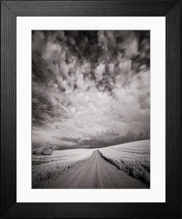 Framed Print : USA, Washington State, Palouse. Backcountry road through wheat field and clouds Date: 11-06-2020 Framed Print : USA, Washington State, Palouse. Backcountry road through wheat field and clouds Date: 11-06-2020