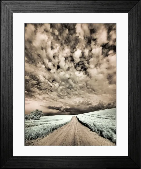 Framed Print : USA, Washington State, Palouse. Backcountry road through wheat field and clouds Date: 11-06-2020 Framed Print : USA, Washington State, Palouse. Backcountry road through wheat field and clouds Date: 11-06-2020