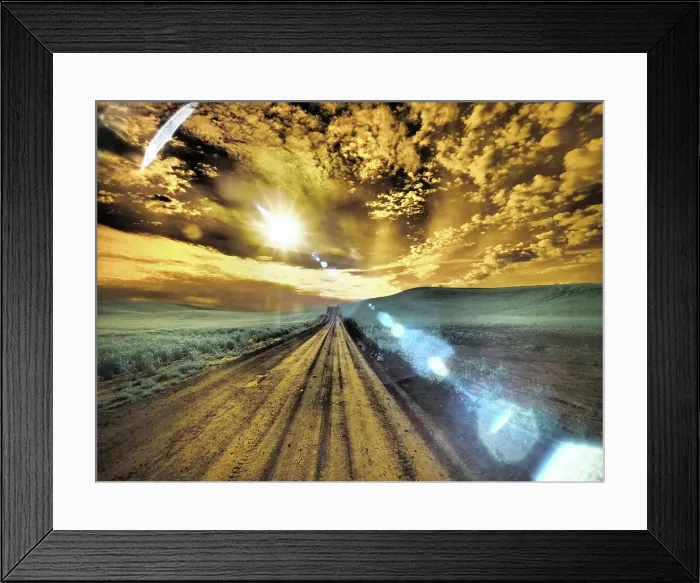 Framed Print : USA, Washington State, Palouse. Backcountry road through wheat field and clouds Date: 11-06-2020 Framed Print : USA, Washington State, Palouse. Backcountry road through wheat field and clouds Date: 11-06-2020