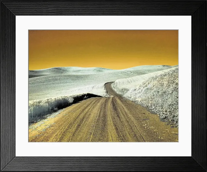 Framed Print : USA, Washington State, Palouse region, Country backroad through wheat fields Date: 23-06-2020