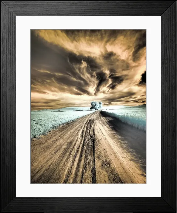 Framed Print : USA, Washington State, Palouse region, Backcountry road leading to Lone Tree Date: 23-06-2020 Framed Print : USA, Washington State, Palouse region, Backcountry road leading to Lone Tree Date: 23-06-2020