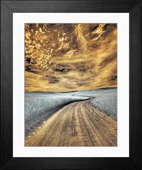 Framed Print : USA, Washington State, Palouse region, winding backcountry road through wheat fields Date: 24-06-2020 Framed Print : USA, Washington State, Palouse region, winding backcountry road through wheat fields Date: 24-06-2020