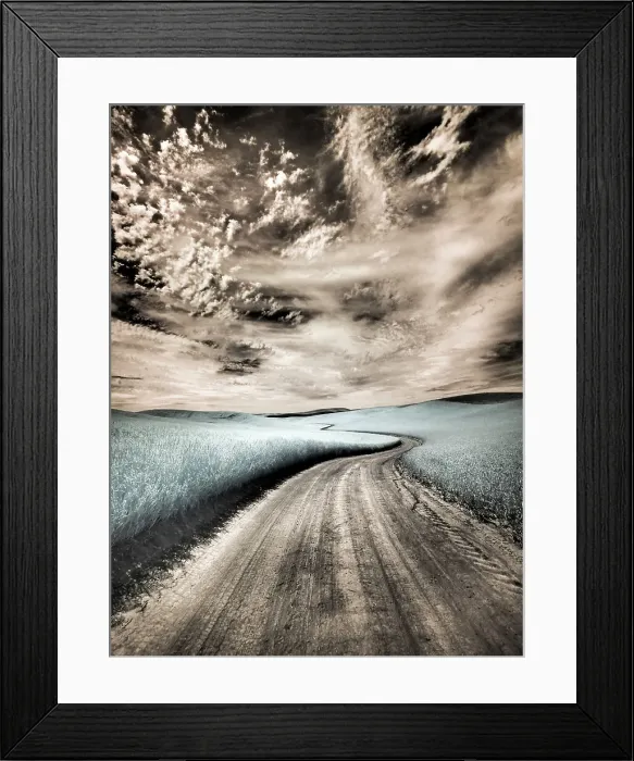Framed Print : USA, Washington State, Palouse region, winding backcountry road through wheat fields Date: 24-06-2020 Framed Print : USA, Washington State, Palouse region, winding backcountry road through wheat fields Date: 24-06-2020