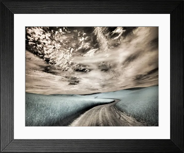 Framed Print : USA, Washington State, Palouse region, winding backcountry road through wheat fields Date: 24-06-2020 Framed Print : USA, Washington State, Palouse region, winding backcountry road through wheat fields Date: 24-06-2020