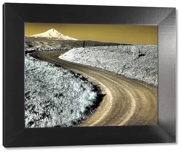 USA, Washington State. Infrared capture of road running though wildflowers with Mount Hood in background Date: 22-04-2021