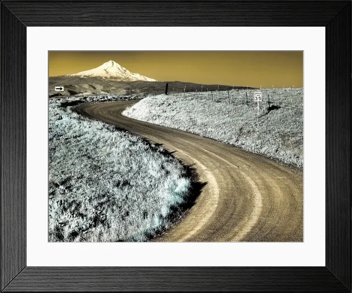Framed Print : USA, Washington State. Infrared capture of road running though wildflowers with Mount Hood in background Date: 22-04-2021 Framed Print : USA, Washington State. Infrared capture of road running though wildflowers with Mount Hood in background Date: 22-04-2021