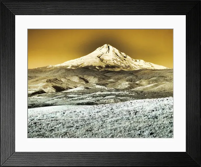 Framed Print : USA, Washington State. Infrared capture of wildflowers and Mount Hood Date: 22-04-2021 Framed Print : USA, Washington State. Infrared capture of wildflowers and Mount Hood Date: 22-04-2021