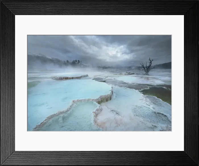 Framed Print : Deposits of travertine colored by thermophilic bacteria, Upper Terraces Mammoth Hot Springs, Yellowstone National Park. Date: 21-09-2019 Framed Print : Deposits of travertine colored by thermophilic bacteria, Upper Terraces Mammoth Hot Springs, Yellowstone National Park. Date: 21-09-2019