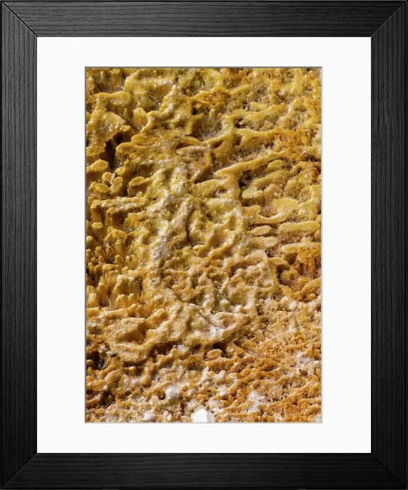 Framed Print : USA, Wyoming, Yellowstone National Park, Black Sand Basin. Detail of colorful thermophile bacteria mat. Date: 08-10-2020 Framed Print : USA, Wyoming, Yellowstone National Park, Black Sand Basin. Detail of colorful thermophile bacteria mat. Date: 08-10-2020