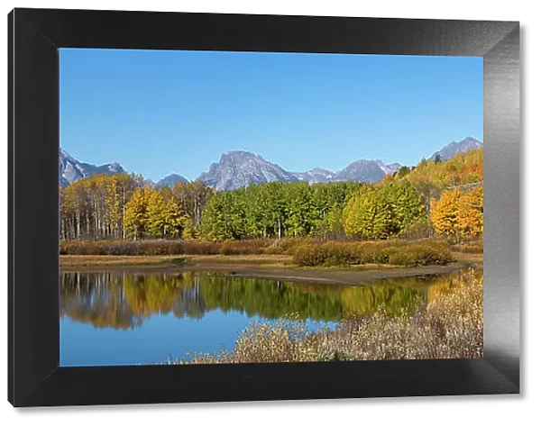 USA, Wyoming. Reflection of Mount Moran and autumn aspens at the Oxbow, Grand Teton National Park. Date: 29-09-2020