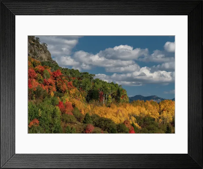 Framed Print : USA, Wyoming. Colorful autumn foliage of the Caribou-Targhee National Forest. Date: 20-09-2020