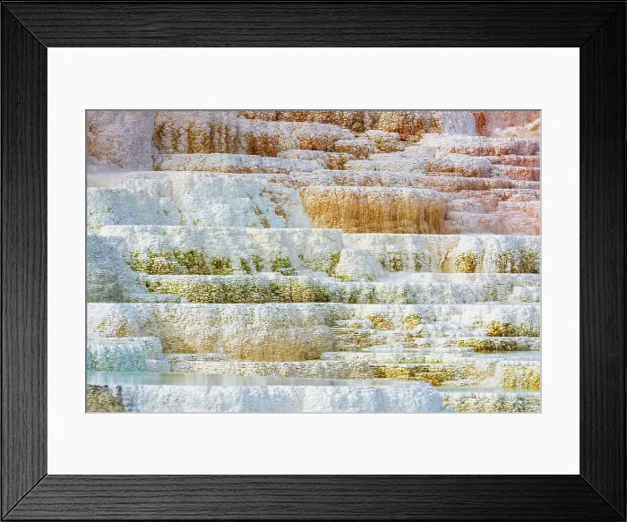 Framed Print : Travertine terraces at Minerva Spring, Mammoth Hot Springs, Yellowstone National Park, Wyoming, USA. Date: 25-05-2021 Framed Print : Travertine terraces at Minerva Spring, Mammoth Hot Springs, Yellowstone National Park, Wyoming, USA. Date: 25-05-2021