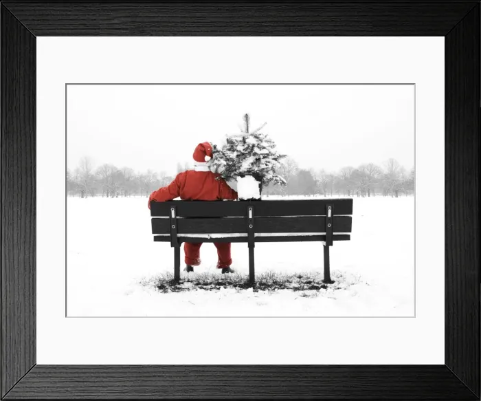 Framed Print : Snow - Father Christmas sitting on park bench with a Christmas tree Framed Print : Snow - Father Christmas sitting on park bench with a Christmas tree