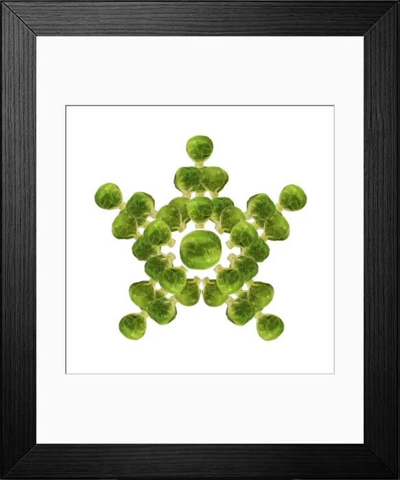 Framed Print : Brussel Sprout - in star or snowflake shape Framed Print : Brussel Sprout - in star or snowflake shape