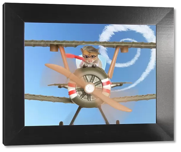 Hamster - flying aeroplane Digital Manipulation: added wings, blurred movement, background sky & contrails