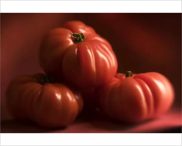 Beef Tomatoes - three