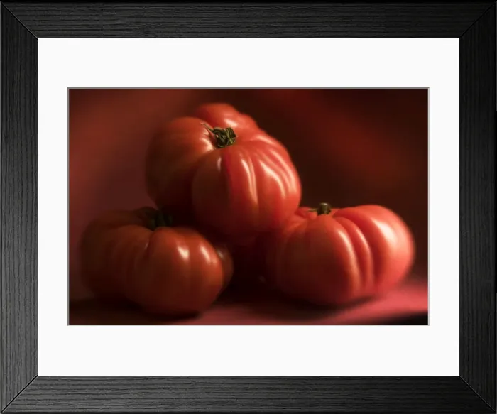 Framed Print : Beef Tomatoes - three Framed Print : Beef Tomatoes - three