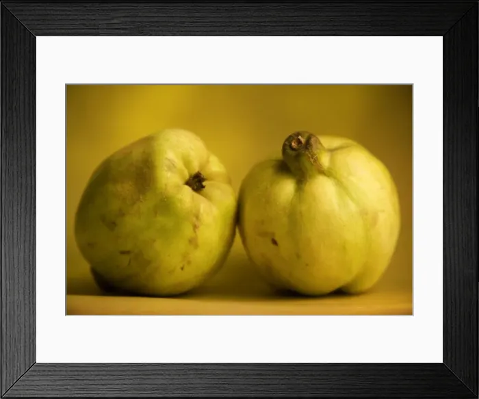 Framed Print : Quince - two Framed Print : Quince - two