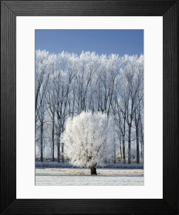 Framed Print : landscape in winter - countryside - Belgium Framed Print : landscape in winter - countryside - Belgium