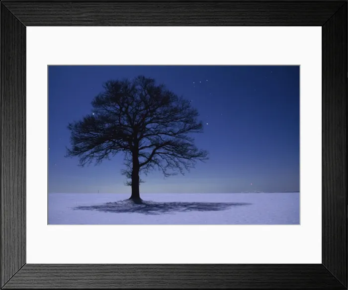 Framed Print : Oak Tree - night landscape in winter with stars Framed Print : Oak Tree - night landscape in winter with stars
