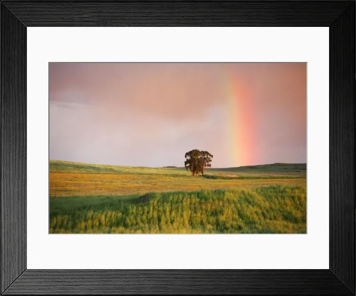 Framed Print : Rainbow - at twilight, NP Herdade de Sao Marcos Great Bustard Reserve, beside Castro Verde, Alentejo, Portugal Framed Print : Rainbow - at twilight, NP Herdade de Sao Marcos Great Bustard Reserve, beside Castro Verde, Alentejo, Portugal