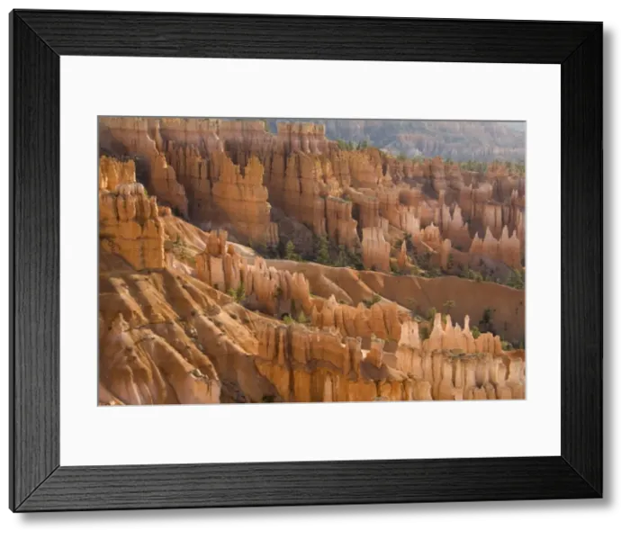 Framed Print : USA - Pinnacles of limestone rock (so-called hoodoos) and eroding fins in the spectacular Bryce Amphitheatre. Bryce Canyon National Park, Utah, USA Framed Print : USA - Pinnacles of limestone rock (so-called hoodoos) and eroding fins in the spectacular Bryce Amphitheatre. Bryce Canyon National Park, Utah, USA