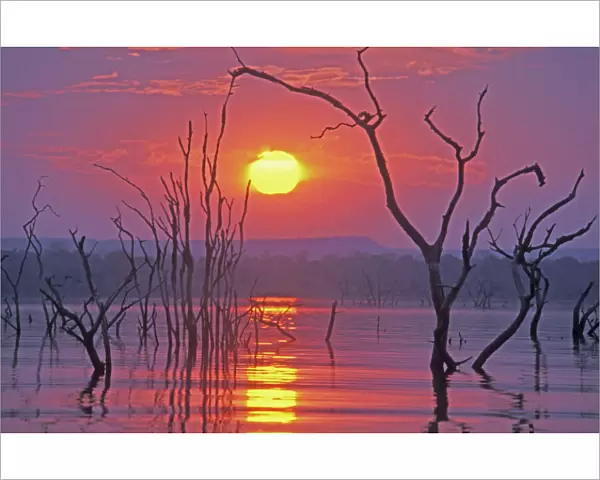Lake Kariba - Sunset over drowned trees - Africa, Zimbabwe, Matusadona NP