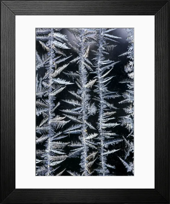 Framed Print : Iceflower - frostflower on glass window Framed Print : Iceflower - frostflower on glass window