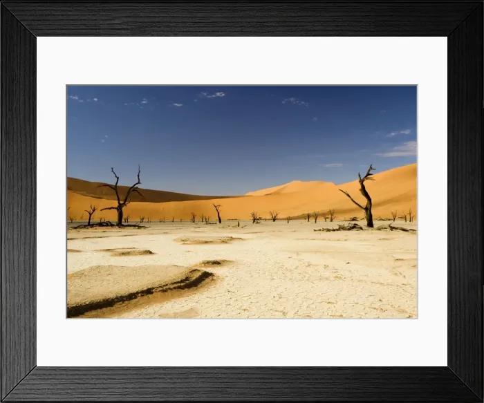 Framed Print : Dead Trees In Dead Vlei - Dead trees with red dunes and a dried white clay floor - Southern Namib Desert - Namibia - Africa Framed Print : Dead Trees In Dead Vlei - Dead trees with red dunes and a dried white clay floor - Southern Namib Desert - Namibia - Africa