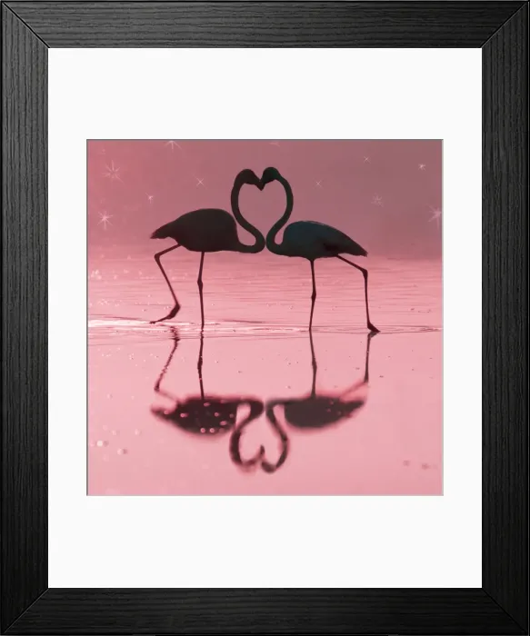 Framed Print : Greater Flamingo - Pair kissing - evening at the Laguna de Fuente de Piedra near the town of Antequera, Andalucia, province of Malaga Spain MANIPULATED IMAGE - Birds moved, colour of background changed and stars added Framed Print : Greater Flamingo - Pair kissing - evening at the Laguna de Fuente de Piedra near the town of Antequera, Andalucia, province of Malaga Spain MANIPULATED IMAGE - Birds moved, colour of background changed and stars added