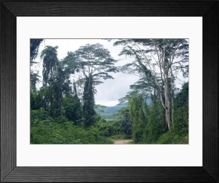 Framed Print : A typical unpaved road surrounded by lush vegetation in Palawan, Philippines. This is the only road connecting the parts of the island, unusable in rainy season, but fairly suitable for lorries and 4x4s. Cloudy day in February. Ph41. 1005 Framed Print : A typical unpaved road surrounded by lush vegetation in Palawan, Philippines. This is the only road connecting the parts of the island, unusable in rainy season, but fairly suitable for lorries and 4x4s. Cloudy day in February. Ph41. 1005