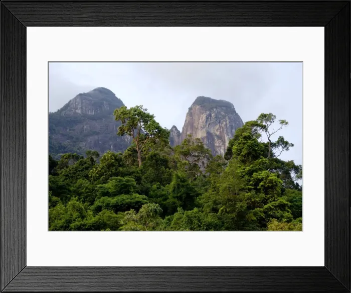 Framed Print : Rainforest on the slopes of Twin Peaks - Bukit Batu Sirau and Bukit Semukut peaks, of volcanic Tioman Island, 30 km east off peninsula Malaysia in South China Sea; evening in June. Ma39. 3622 Framed Print : Rainforest on the slopes of Twin Peaks - Bukit Batu Sirau and Bukit Semukut peaks, of volcanic Tioman Island, 30 km east off peninsula Malaysia in South China Sea; evening in June. Ma39. 3622