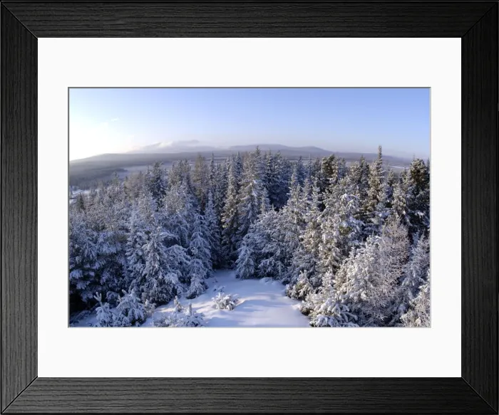 Framed Print : Taiga-forest and a view to Denezhkin Kamen mountain (1492m) from outskirts of Vsevolodo-Blagodatskoye village; one of the highest peaks of North Ural Mountains, typical for Urals, Russia; midwinter, December Framed Print : Taiga-forest and a view to Denezhkin Kamen mountain (1492m) from outskirts of Vsevolodo-Blagodatskoye village; one of the highest peaks of North Ural Mountains, typical for Urals, Russia; midwinter, December