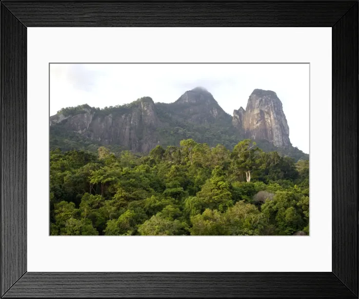 Framed Print : Rainforest on the slopes of Twin Peaks - Bukit Batu Sirau and Bukit Semukut peaks, of volcanic Tioman Island, 30 km east off peninsula Malaysia in South China Sea; evening in June. Ma39. 3615 Framed Print : Rainforest on the slopes of Twin Peaks - Bukit Batu Sirau and Bukit Semukut peaks, of volcanic Tioman Island, 30 km east off peninsula Malaysia in South China Sea; evening in June. Ma39. 3615