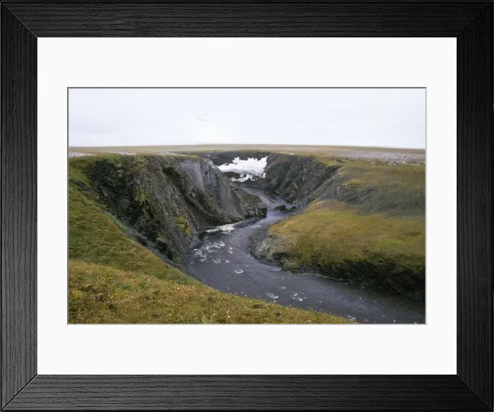 Framed Print : River Obrivistaya - very close to Kara sea shore. A typical landscape near Dikson, Russian Arctic: 30 m. deep canyon, everlasting snow (melts only in very warm summers). A lone sea-gull flies over a canyon Framed Print : River Obrivistaya - very close to Kara sea shore. A typical landscape near Dikson, Russian Arctic: 30 m. deep canyon, everlasting snow (melts only in very warm summers). A lone sea-gull flies over a canyon