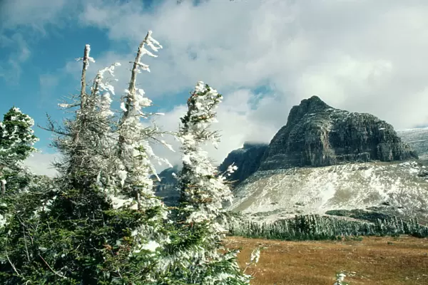 USA Rocky Mountains, logan pass, Glacier National Park, Montana