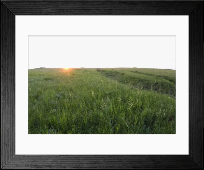 Framed Print : Habitat of Himalayan Marmot and Red-cheeked Souslik - sunrise in steppe - early summer - typical landscape along the river Ural - near Kuvandyk town - Orenburg region - South Russia - June Ku41. 2271 Framed Print : Habitat of Himalayan Marmot and Red-cheeked Souslik - sunrise in steppe - early summer - typical landscape along the river Ural - near Kuvandyk town - Orenburg region - South Russia - June Ku41. 2271