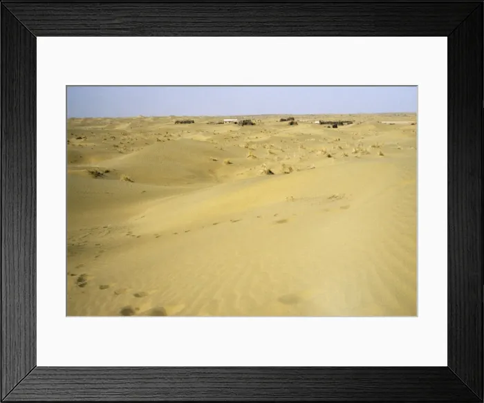 Framed Print : Village Arba - in sand dunes of Central Karakum desert - March - Turkmenistan - former CIS Tm31. 0157(0792) Framed Print : Village Arba - in sand dunes of Central Karakum desert - March - Turkmenistan - former CIS Tm31. 0157(0792)