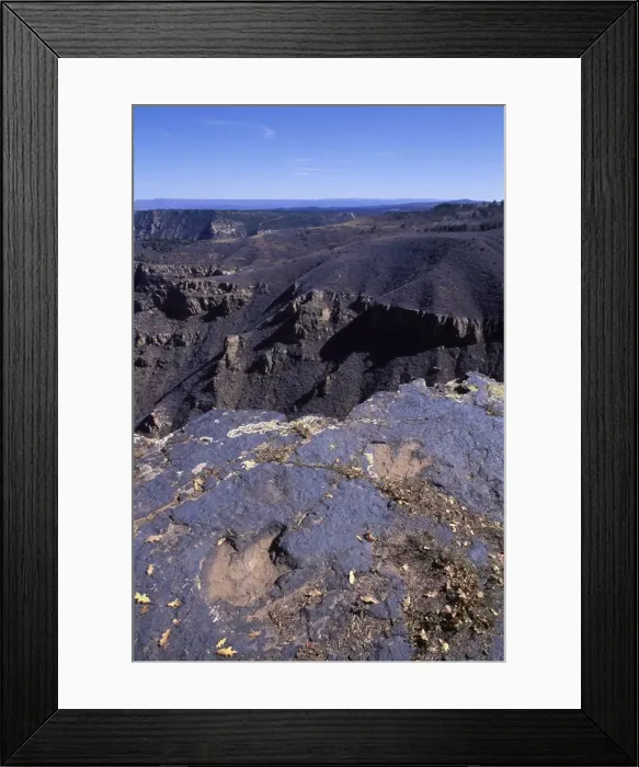 Framed Print : Dinosaur Tracks Footprints of a Theropod Dinosaur. Lower Jurassic. La Sal Mountains, Utah, USA. (Theropods were carnivorous dinosaurs - such as Allosaurus or T rex; they left three-toed footprints) BQ672