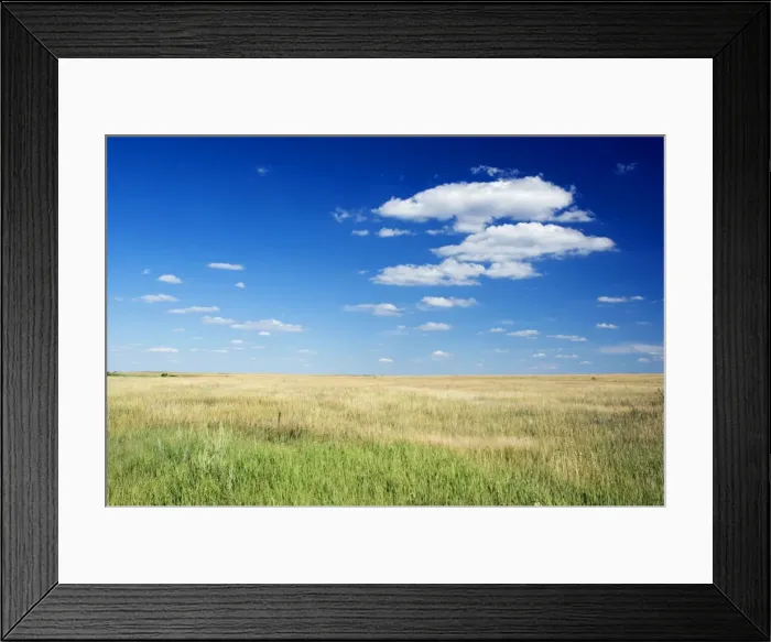 Framed Print : Habitat of Himalayan Marmot and Red-cheeked Souslik - steppe in late summer - South from Ural Mountain range - Orenburg region - South Russia - July - midday. Ku41. 2670 Framed Print : Habitat of Himalayan Marmot and Red-cheeked Souslik - steppe in late summer - South from Ural Mountain range - Orenburg region - South Russia - July - midday. Ku41. 2670