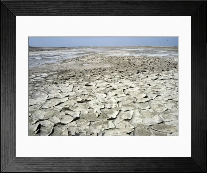 Framed Print : Over-dried soil with cristallized salt on its surface - typical salinated desert soil near Kumdag - Turkmenistan - former CIS - Spring - April Tm31. 0326 Framed Print : Over-dried soil with cristallized salt on its surface - typical salinated desert soil near Kumdag - Turkmenistan - former CIS - Spring - April Tm31. 0326