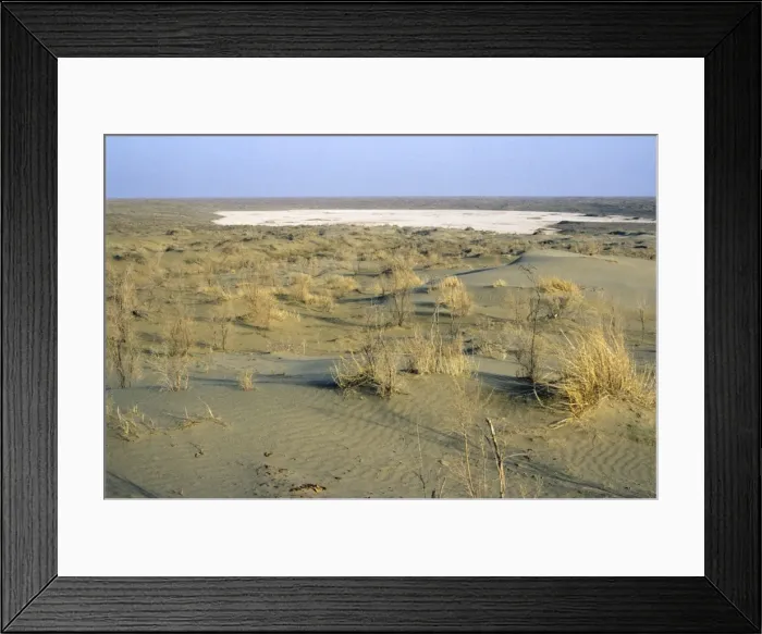 Framed Print : Dry salt marsh - surrounded by sand dunes - a typical scene in Central Karakum desert - Turkmenistan - former CIS - Spring - April Tm31. 0179(0794) Framed Print : Dry salt marsh - surrounded by sand dunes - a typical scene in Central Karakum desert - Turkmenistan - former CIS - Spring - April Tm31. 0179(0794)