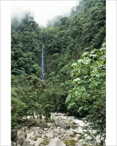 Peru Waterfall in the Cloud Forest, Manu National Park
