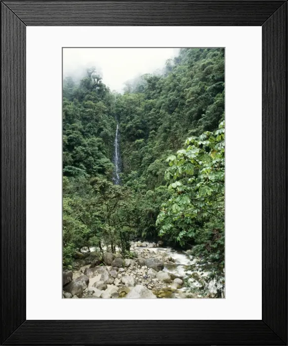 Framed Print : Peru Waterfall in the Cloud Forest, Manu National Park Framed Print : Peru Waterfall in the Cloud Forest, Manu National Park