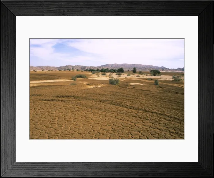Framed Print : Egypt - A typical uninhabited oasis on a salt water spring in Arabian desert approx. 50 km from Hurghada (Red Sea shore); Egypt; windy day in January Eg39. 0089 Framed Print : Egypt - A typical uninhabited oasis on a salt water spring in Arabian desert approx. 50 km from Hurghada (Red Sea shore); Egypt; windy day in January Eg39. 0089