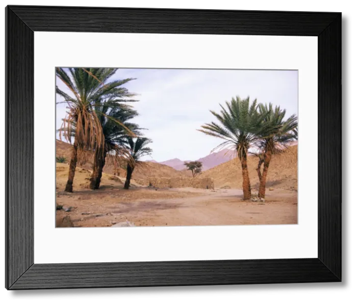 Framed Print : Egypt - Palm trees near ancient water-well. Mountains in Arabian desert approx. 50 km from Hurghada town (Red sea shore); Egypt, evening. January Eg. 0022 Framed Print : Egypt - Palm trees near ancient water-well. Mountains in Arabian desert approx. 50 km from Hurghada town (Red sea shore); Egypt, evening. January Eg. 0022