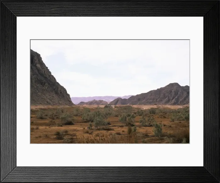 Framed Print : Eygpy - a typical uninhabited oasis on a salty water spring among rocks in Arabian desert approx. 50 km from Hurghada town (Red Sea shore); January Eg39. 0107 Framed Print : Eygpy - a typical uninhabited oasis on a salty water spring among rocks in Arabian desert approx. 50 km from Hurghada town (Red Sea shore); January Eg39. 0107