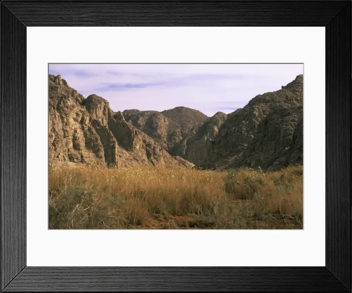 Framed Print : Egypt - a typical uninhabited oasis among rocks in Arabian desert approx. 50 km from Hurghada town (Red Sea shore); January Eg39. 0108 Framed Print : Egypt - a typical uninhabited oasis among rocks in Arabian desert approx. 50 km from Hurghada town (Red Sea shore); January Eg39. 0108