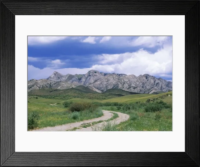 Framed Print : Russia - road to mountain Hairakan-Dag (sacred place for Tuvinians, with a sacred water spring on its slope) in Sengilen mountain range June; South Tuva, Russia Tu32. 3096 Framed Print : Russia - road to mountain Hairakan-Dag (sacred place for Tuvinians, with a sacred water spring on its slope) in Sengilen mountain range June; South Tuva, Russia Tu32. 3096